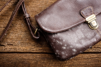 How to remove mold from your leather bag 